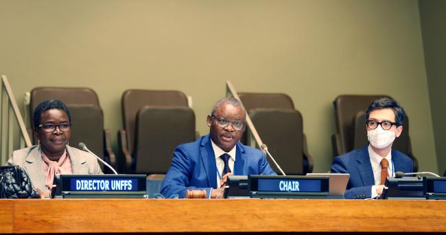 UNFF17 Vice-Chair Musah Abu-Juam, Ghana - UNFF17 - 10May2022 - Photo