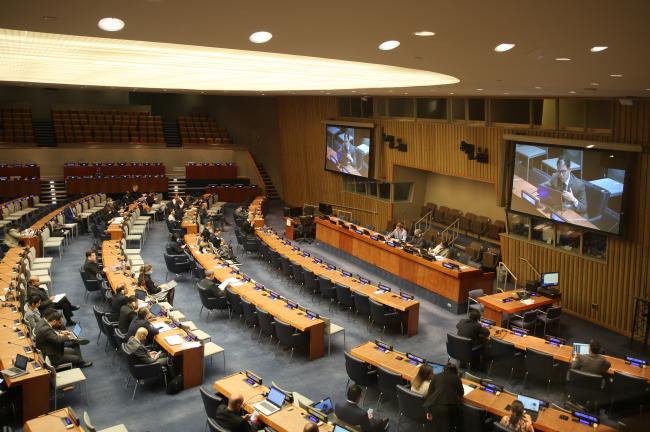View of the plenary during the informal session