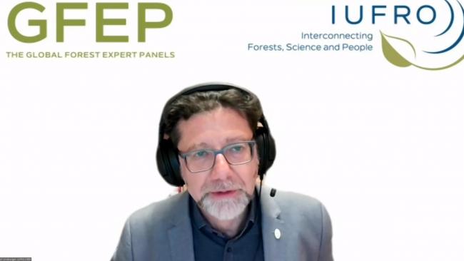 Christoph Wildburger, International Union of Forest Research Organizations