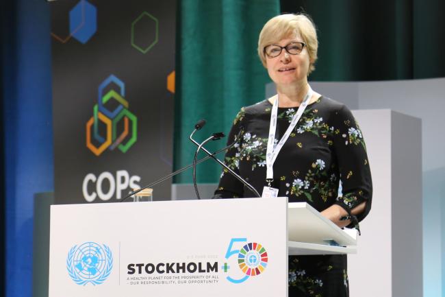 Silvija Nora Kalnins President of the tenth meeting of the Stockholm Convention Conference of the Parties (COP10) - HLS BRS - 1June2022 - Photo.jpg