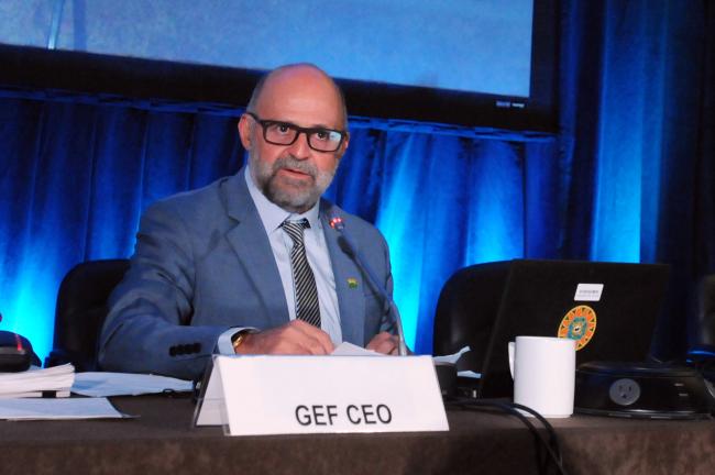 Carlos Manuel Rodríguez, GEF CEO and Chairperson