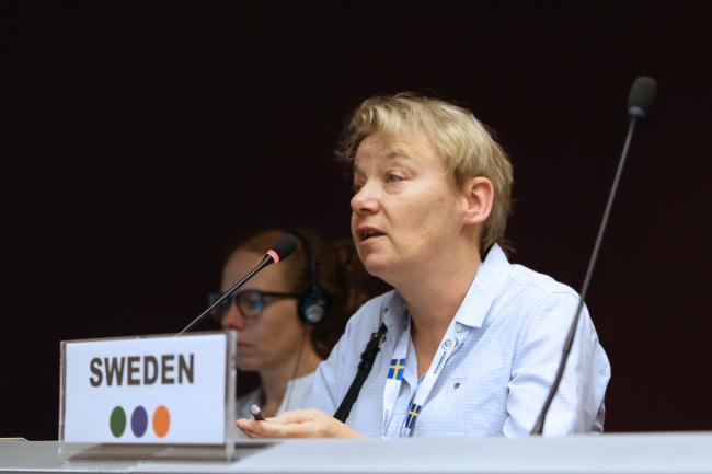Co-Chair of the SC Listings contact group Maria Devlin, Sweden - BRS COPs - 9June2022-th.jpg