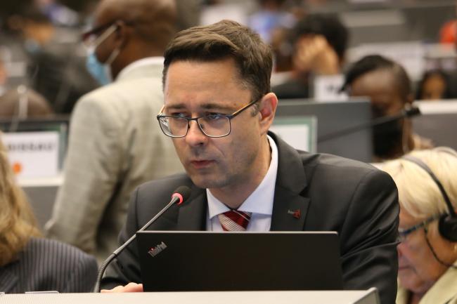 Contact Group on Technical Assistance and Financial Resources Co-Chair Premysl Stepanek, Czech Republic - BRS COP - 17June2022 - Photo