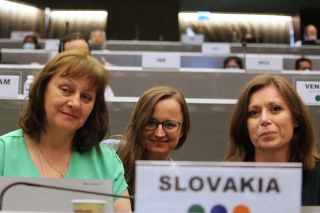 Delegates from Slovakia - BRS COP - 17June2022 - Photo