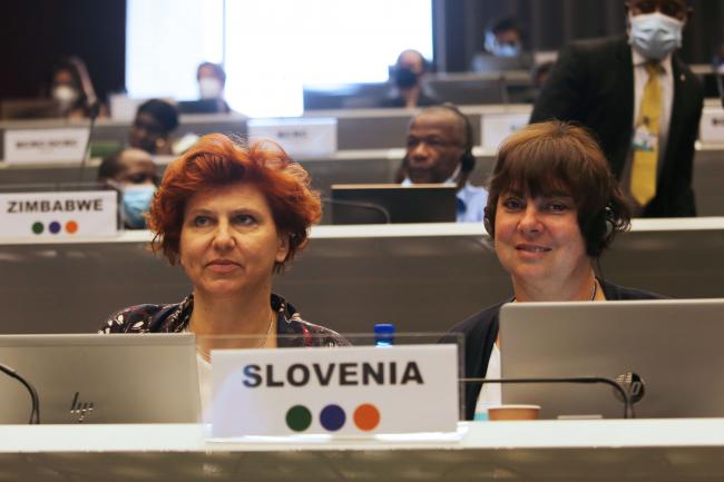 Delegates from Slovenia - BRS COP - 17June2022 - Photo