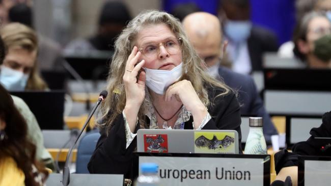 Karin Zaunberger, EU