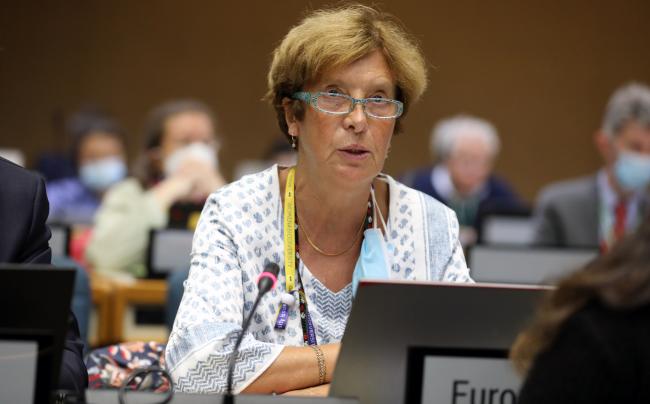 Anne Teller, EU
