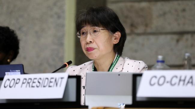 Zhou Guomei, Deputy Secretary General, China Council for International Cooperation on Environment and Development (CCICED), speaking on behalf of the COP15 Presidency