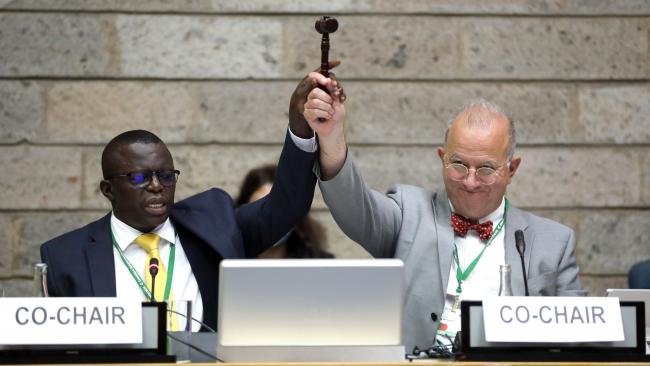   Francis Ogwal and Basile van Havre, Co-Chairs of the Open-ended Working Group on the post-2020 global biodiversity framework