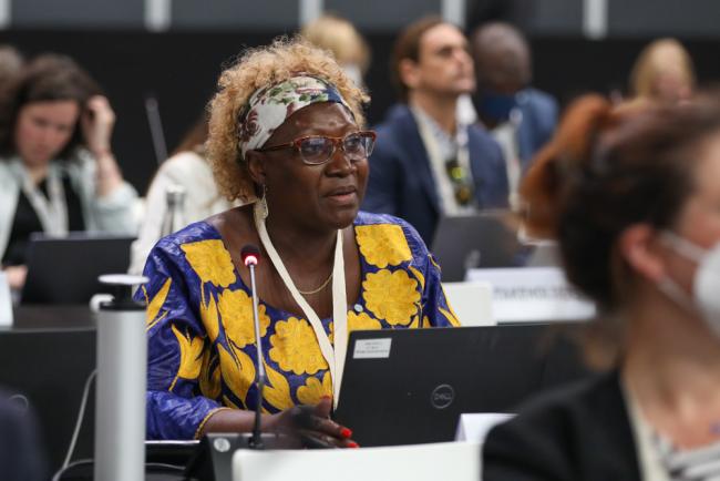 Cecilia Njenga, UN Framework Convention on Climate Change (UNFCCC)
