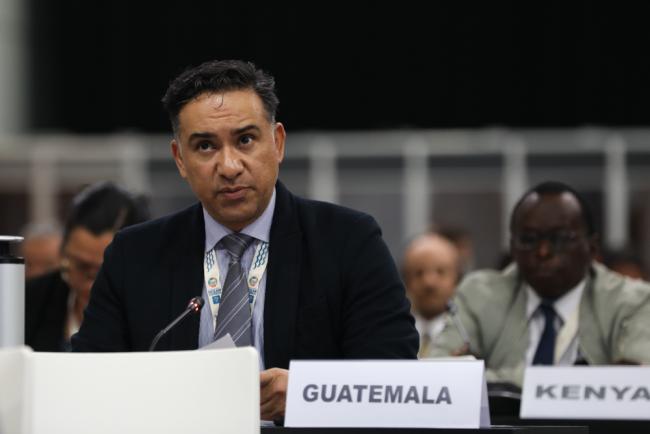 Mario Roberto Rojas Espino, Minister of Environment and Natural Resources, Guatemala