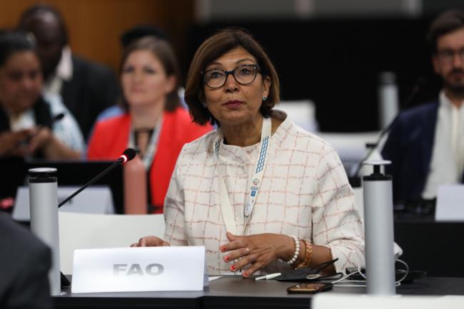 Maria Helena Semedo, Deputy Director-General, Food and Agriculture Organization of the UN (FAO)