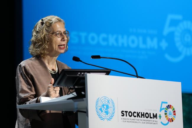 Inger Andersen, Executive Director, UN Environment Programme