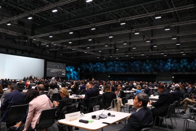 Delegates during the plenary session