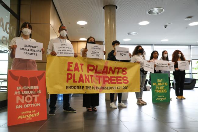 As the informal consultations of the Koronivia joint work on agriculture continue, members of civil society demonstrate in the corridors, calling for a vegan diet to help address climate change