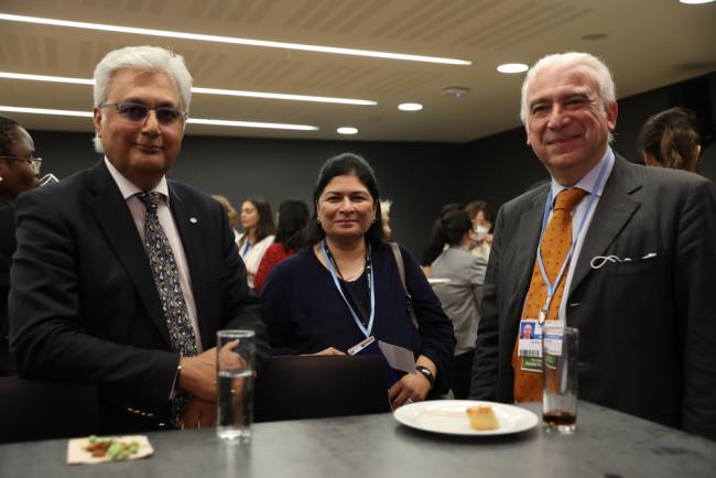 Ovais Sarmad, Chhaya Kapilashrami, and Daniele Violetti, UNFCCC