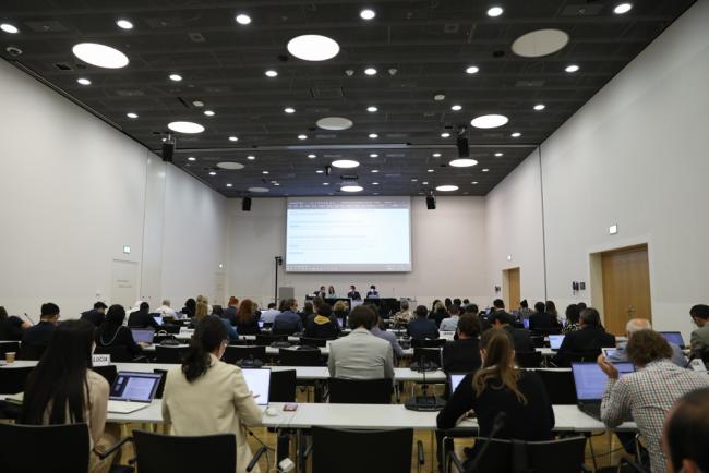 Informal consultations on the revision of the UNFCCC reporting guidelines on annual inventories for Annex I Parties 