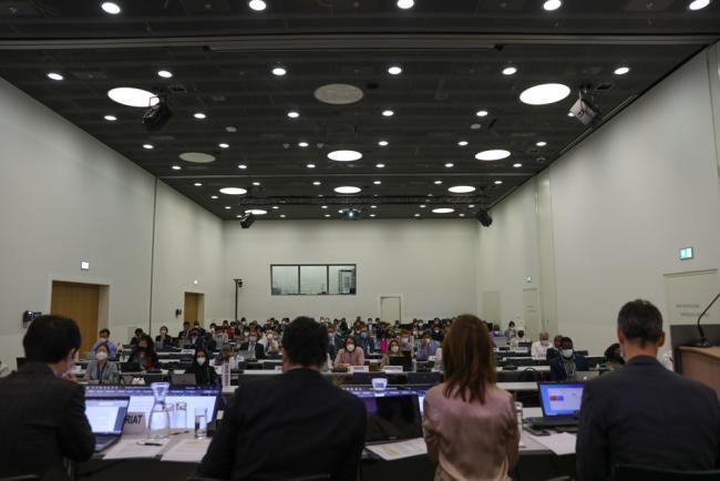 Delegates during the information consultations on the revision of the UNFCCC reporting guidelines on annual inventories for Annex I Parties 