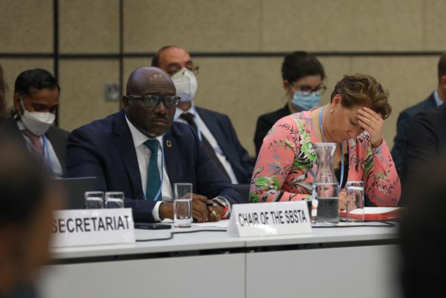 Tosi Mpanu Mpanu, SBSTA Chair, and Marianne Karlsen, SBI Chair