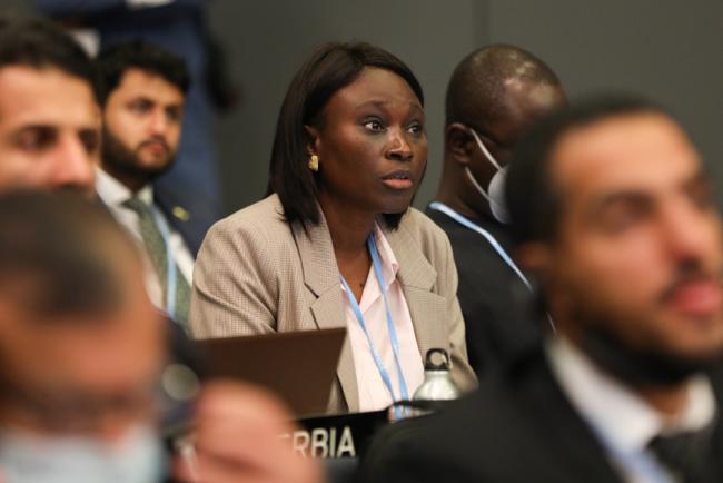 Madeleine Rose Diouf Sarr, Senegal, on behalf of the Least Developed Countries (LDCs)