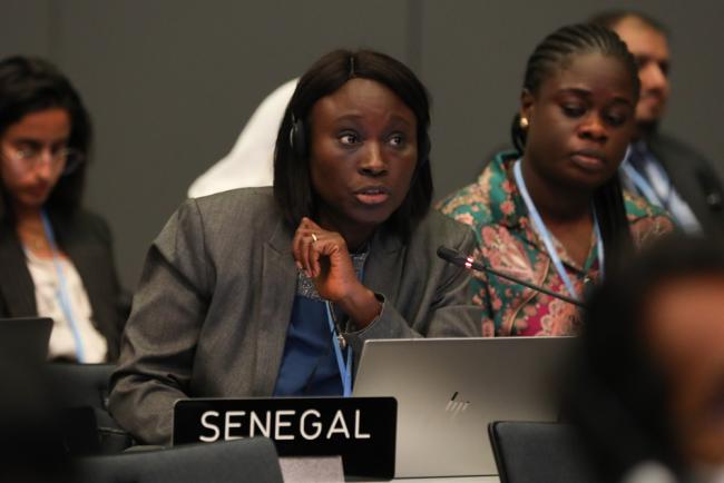 Madeleine Rose Diouf Sarr, Senegal, on behalf of LDCs