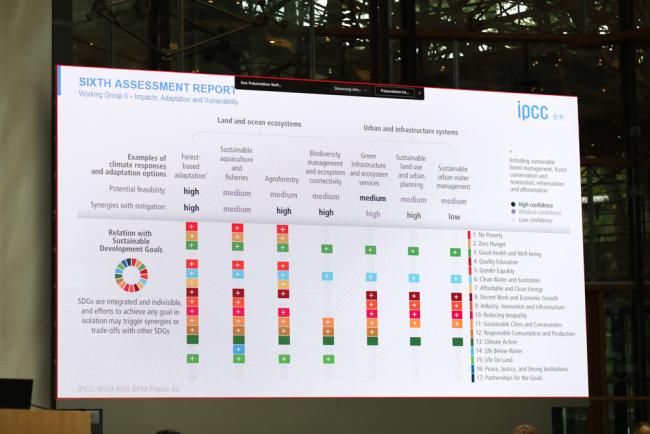A slide shows the relationship between climate action and achieving the sustainable development goals (SDGs)