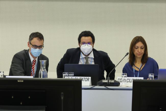 Co-facilitators on the dais during the discussions on the revision of the UNFCCC reporting guidelines on annual inventories for Parties included in Annex I to the Convention