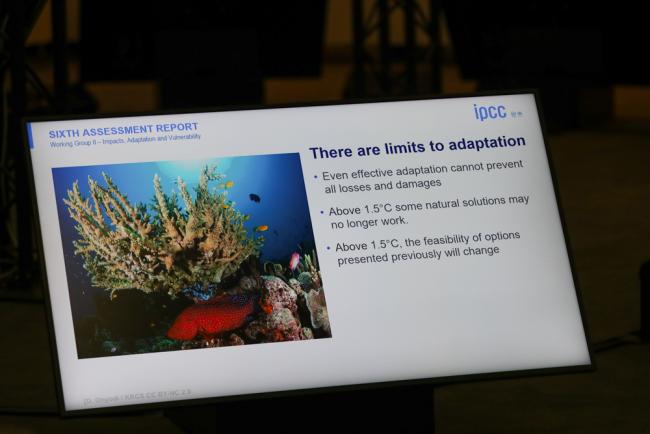 A slide explains there are limits to adaptation