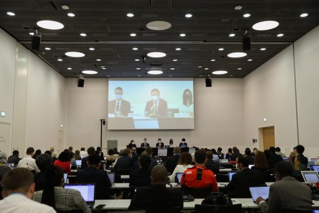 Informal consultations on the revision of the UNFCCC reporting guidelines on annual inventories for Annex I Parties 