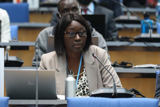 Madeleine Rose Diouf Sarr, Senegal, on behalf of Least Developed Countries (LDCs)