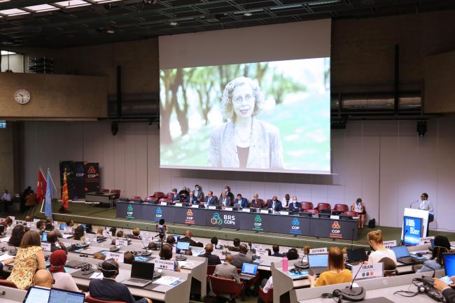 Inger Andersen, Executive Director of the United Nations Environment Programme - Basel Convention COP15-6June2022-Photo