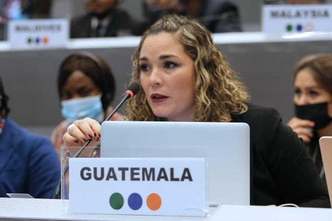 Karla Andrea de Los Ángeles Aguiano Ligorría, Guatemala - BRS COPs - 10June2022