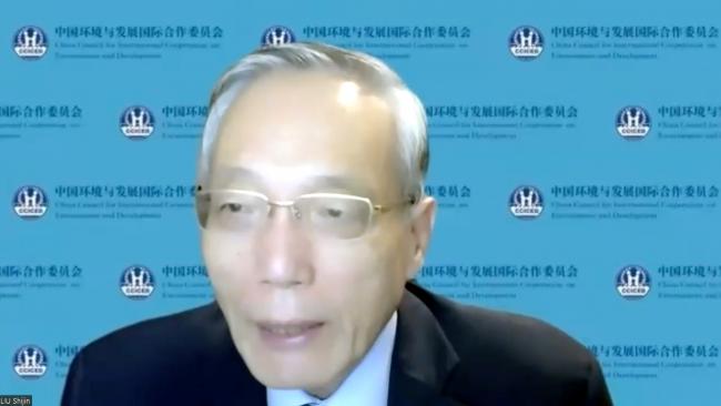 Liu Shijin, CCICED Chinese Chief Advisor