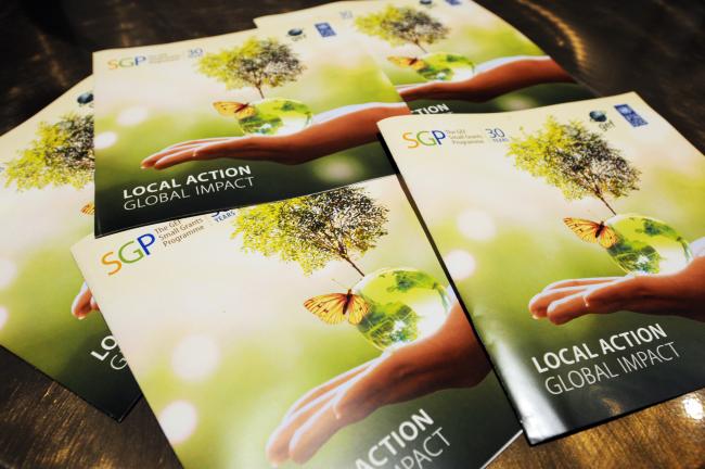 Local Action Global Impact