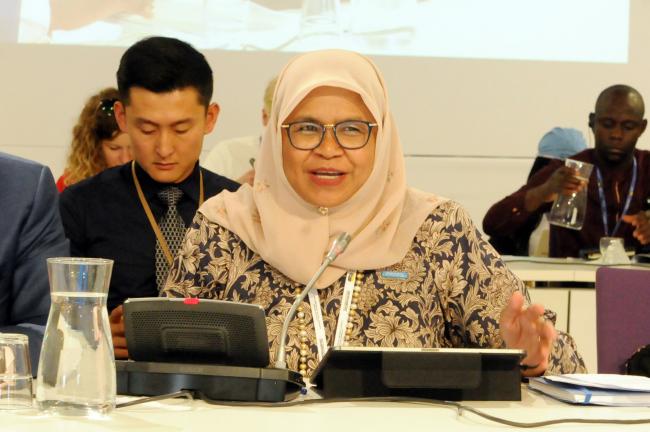 Maimunah Mohd Sharif, Executive Director, UN-Habitat