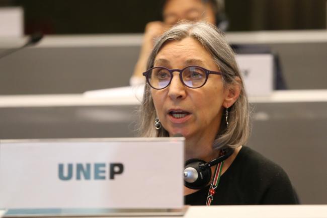 Monika MacDevette, UNDP - BRS COPs - 7June2022 - Photo