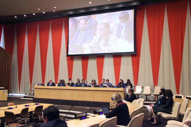 Participants at the Global Launch – Tracking SDG 7
