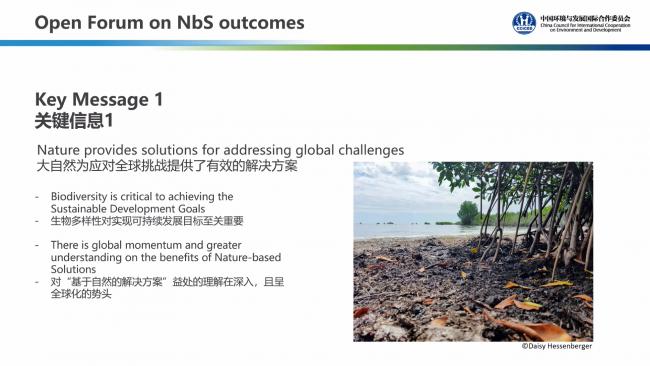 A slide from the presentation by Bruno Oberle, IUCN Director General 