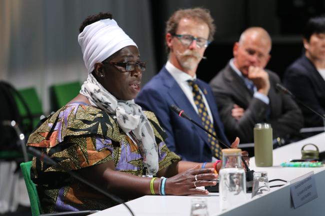 Rosamund Adoo-Kissi-Debrah, Co-Founder of Ella Roberta Familv Foundation - Together for a Healthy, Resilient, and Green Recovery - Stockholm +50 Side Event - 3 June2022