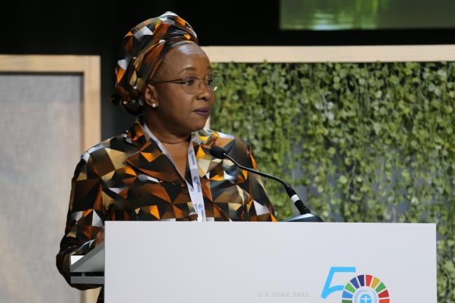 Sharon Ikeazor, Environment Minister, Nigeria