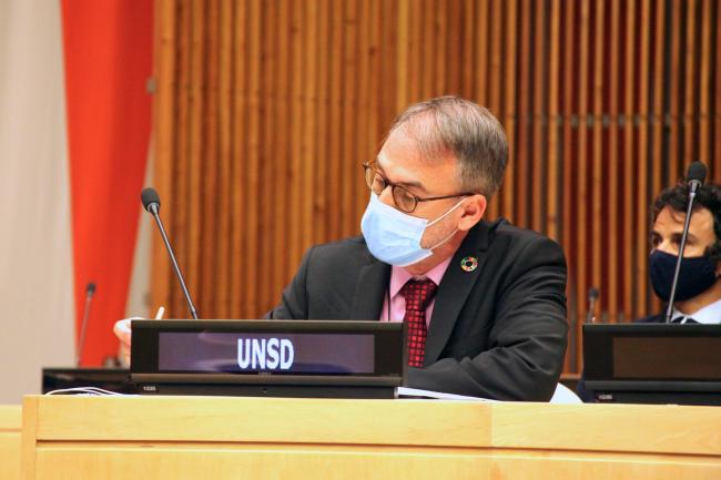 Stefan Schweinfest, UNSD Director
