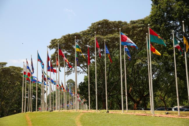 UNEP country flags