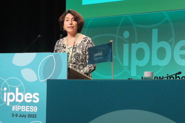 Ana María Hernández Salgar, IPBES Chair