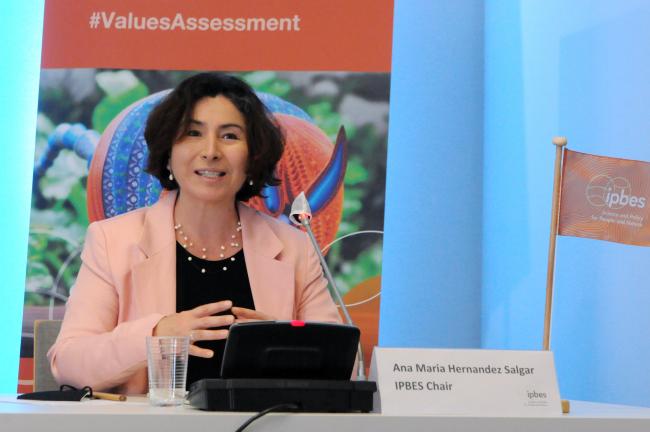 Ana María Hernández Salgar, IPBES Chair