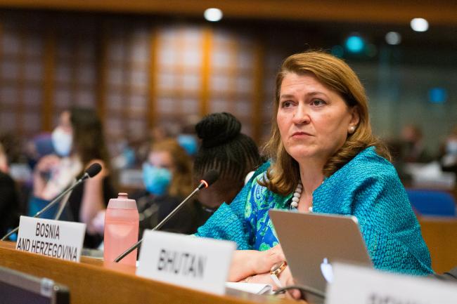 Azra Rogovic-Grubic - OEWG-44/ExMOP-5 - 14Jul2022 - photo