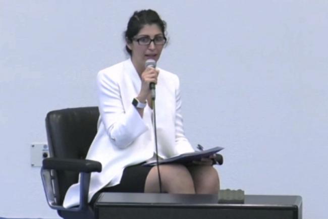 Bahareh Seyedi, UN DESA