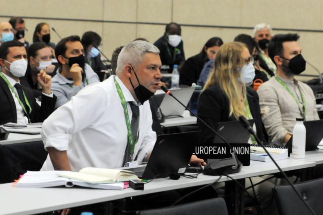Gilles Doignon, EU
