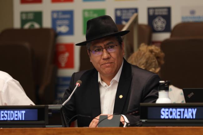 Diego Pary Rodríguez, Vice President, UN Economic and Social Council (ECOSOC)