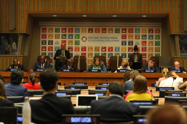 Delegates gather to listen to the VNR presentations from Togo and Uruguay