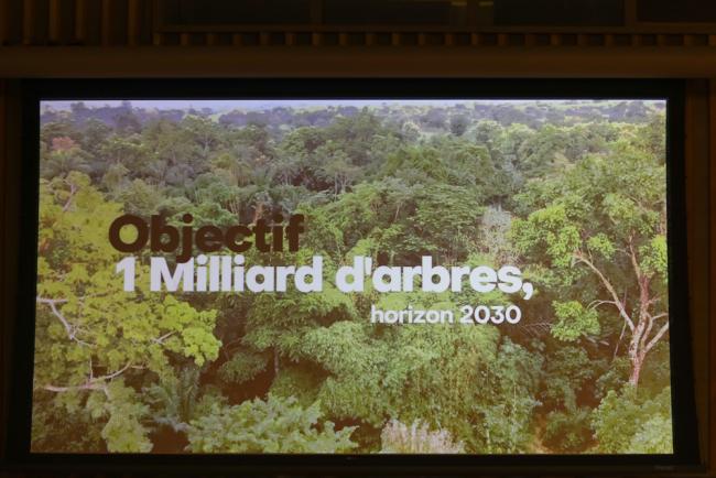 A video from Togo's VNR presentation highlights the work they are doing to protect forests